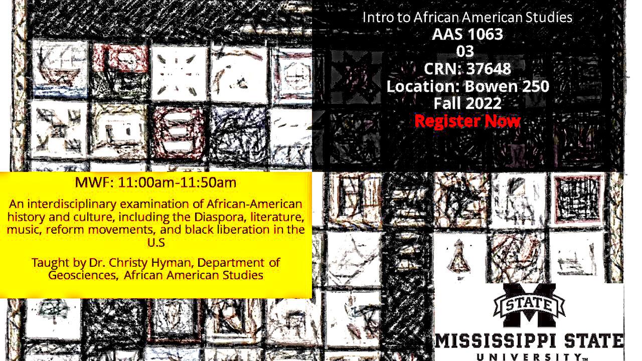 AFRICAN AMERICAN STUDIES TEXTBOOK PDF visual data 2